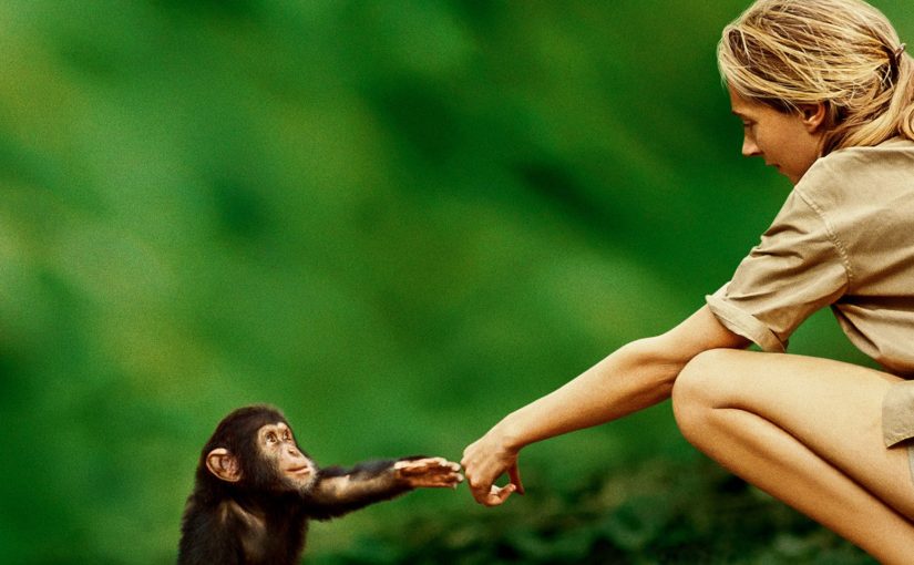 Jane Goodall: This Love Is More Than Love